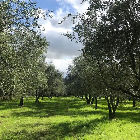 Willa Agriturismo Podere I' Caldino Troghi Zewnętrze zdjęcie