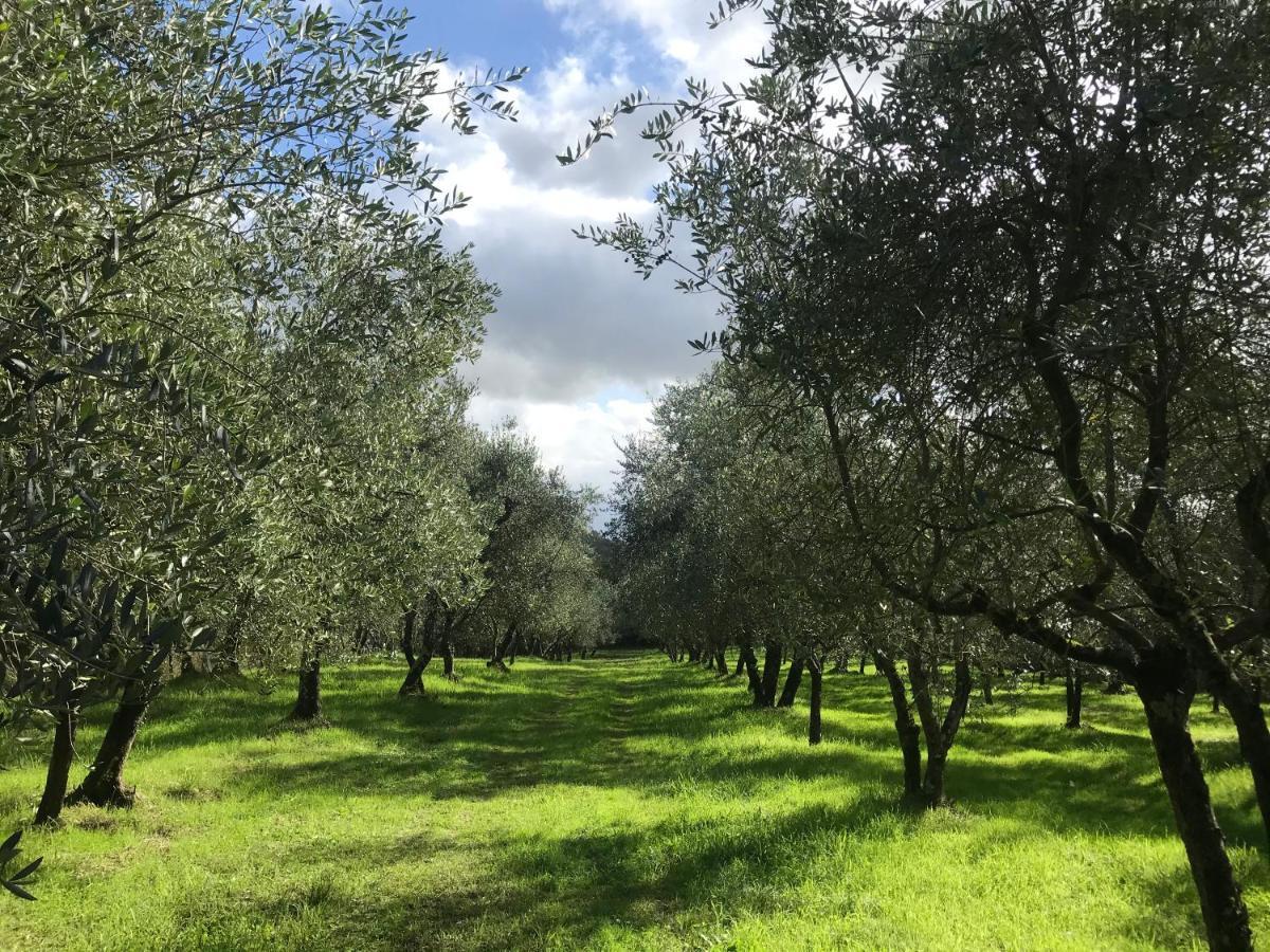 Willa Agriturismo Podere I' Caldino Troghi Zewnętrze zdjęcie