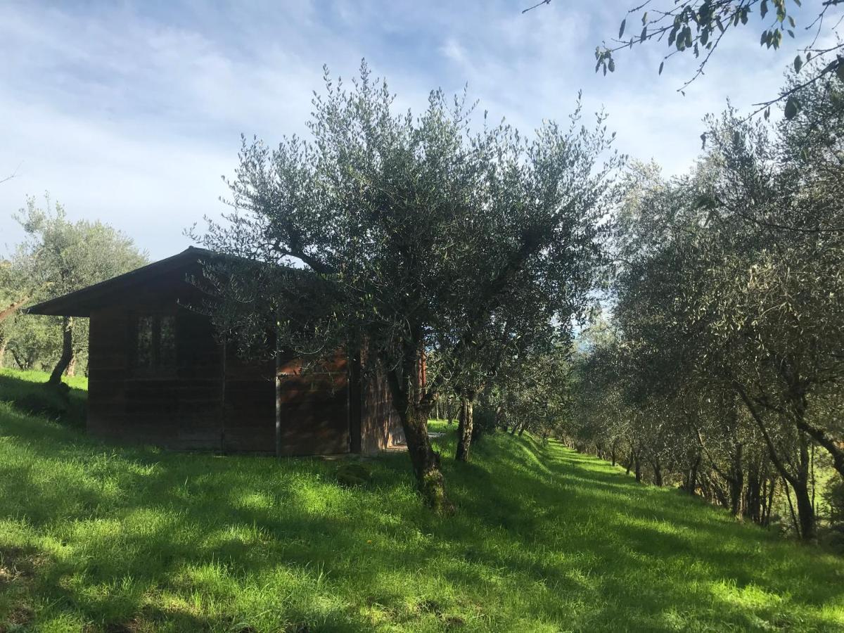 Willa Agriturismo Podere I' Caldino Troghi Zewnętrze zdjęcie